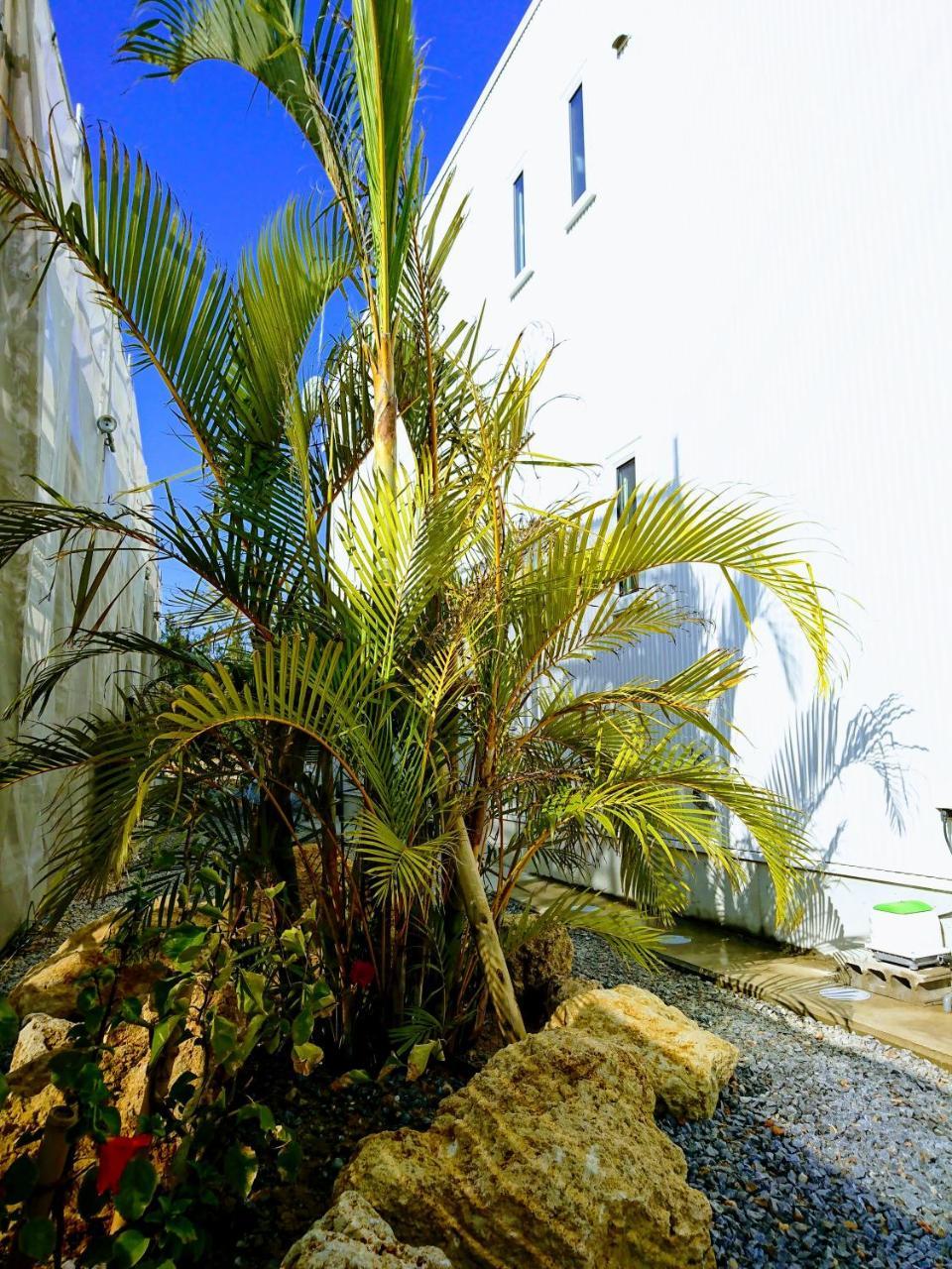Premium Cottage Comfort Okinawa อนนะ ภายนอก รูปภาพ